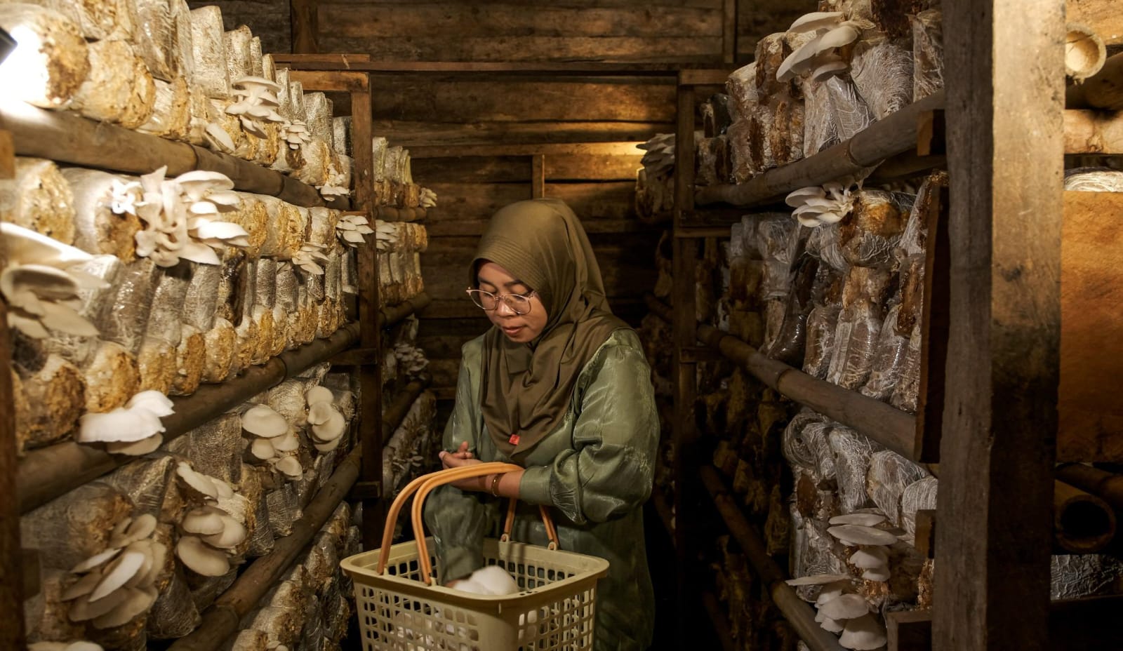 25 Tahun ICP, Investasi 25 Juta Euro Perkuat Petani Kopi Global-Dorong Transformasi Berkelanjutan