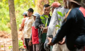 700 Ribu Lebih Pohon Ditanam di Kalbar, ASRI Buktikan Kesehatan dan Konservasi Bisa Berjalan Bersama