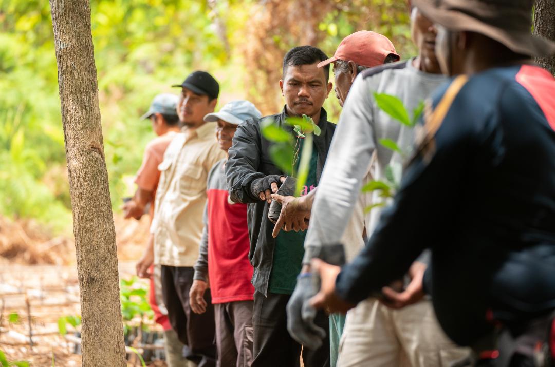 700 Ribu Lebih Pohon Ditanam di Kalbar, ASRI Buktikan Kesehatan dan Konservasi Bisa Berjalan Bersama
