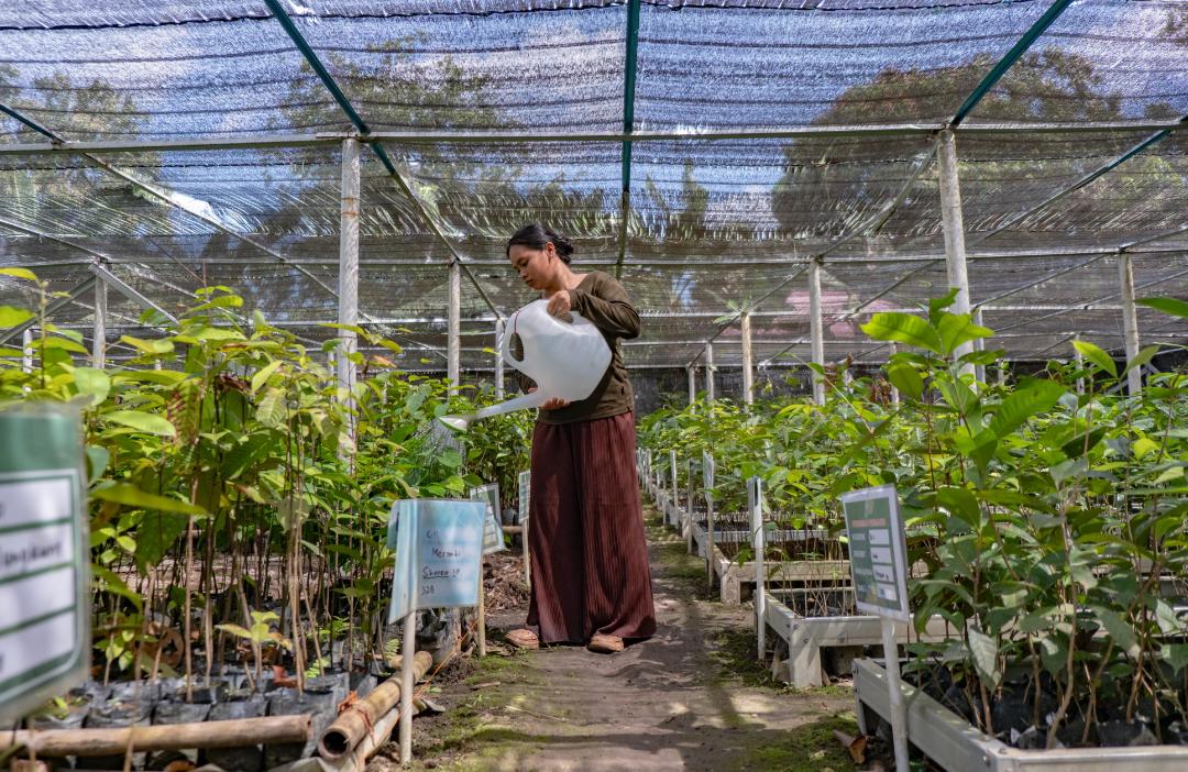 700 Ribu Lebih Pohon Ditanam di Kalbar, ASRI Buktikan Kesehatan dan Konservasi Bisa Berjalan Bersama