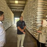 Dwita Ria Tinjau Gudang BULOG Lampung, Pastikan Stok Beras Aman Jelang Ancaman El Niño