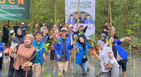 PKC PMII Lampung dan Cabang se-Lampung Tanam 5.000 Bibit Mangrove di Pematang Pasir