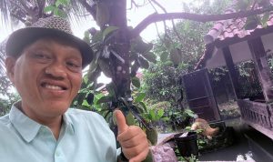 Konsep Momentum (Fisika) dalam Pembangunan: Semakin Besar Dorongan, Semakin Tinggi Kecepatan, dan Semakin Sulit Dihentikan