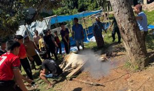 Tebar Kebahagiaan Iduladha, Ponpes Riyadhus Sholihin Sembelih 11 Sapi dan 21 Kambing