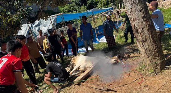 Tebar Kebahagiaan Iduladha, Ponpes Riyadhus Sholihin Sembelih 11 Sapi dan 21 Kambing