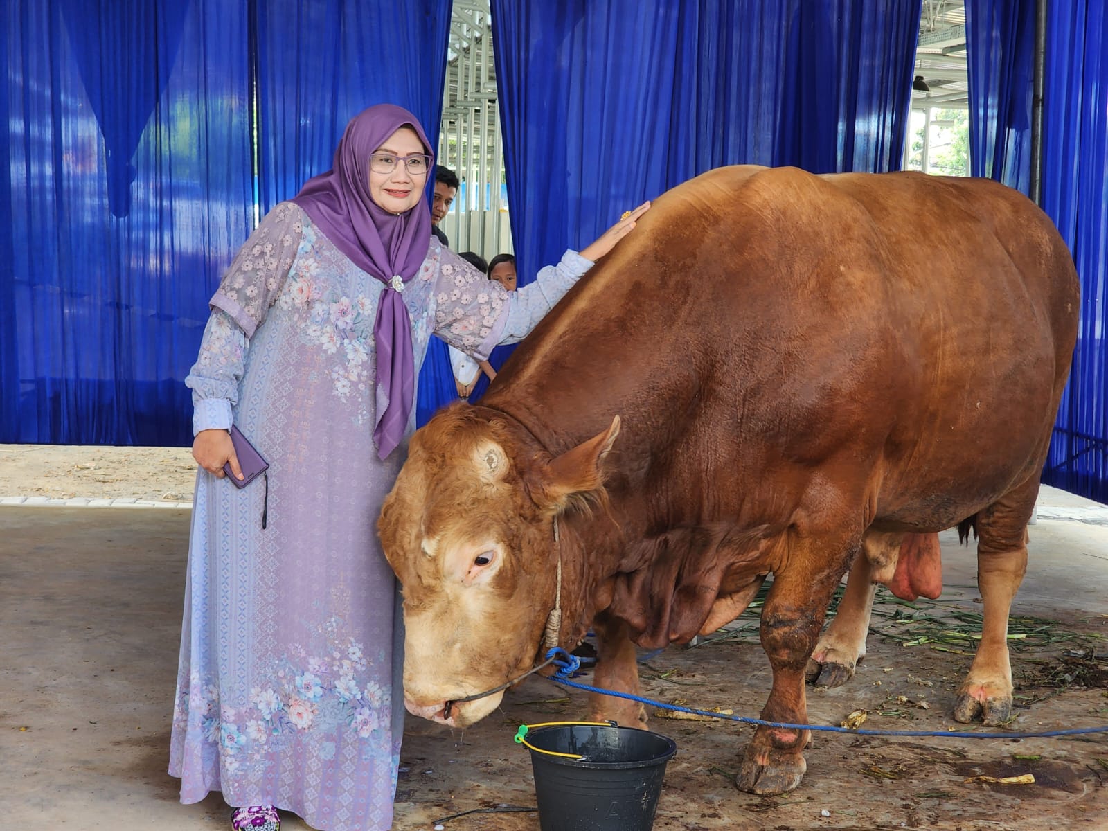 Permintaan Hewan Kurban Melonjak, Pengiriman Sapi dari Lampung Tembus 60 Ribu Ekor Permintaan Hewan Kurban Melonjak, Pengiriman Sapi dari Lampung Tembus 60 Ribu Ekor
