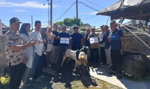 PLN NP UP Bandar Lampung Salurkan 100 Paket Sembako dan Hewan Kurban di Desa Dwikora PLN NP UP Bandar Lampung Salurkan 100 Paket Sembako dan Hewan Kurban di Desa Dwikora