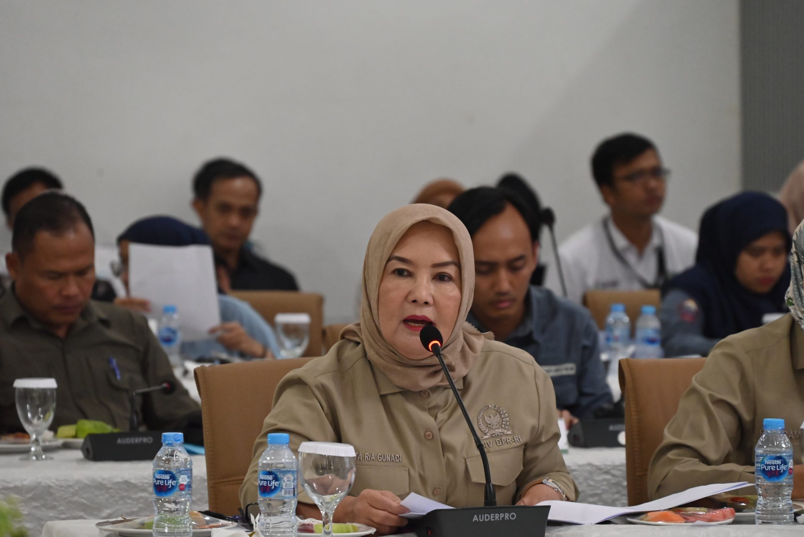 Dwita Ria Gunadi Dorong Penguatan e-RDKK agar Penyaluran Pupuk Subsidi Tepat Sasaran