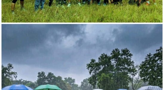 Foto Editan AI Ini Jadi Dramatis, Tapi Ada Satu Sosok yang Bikin Salfok