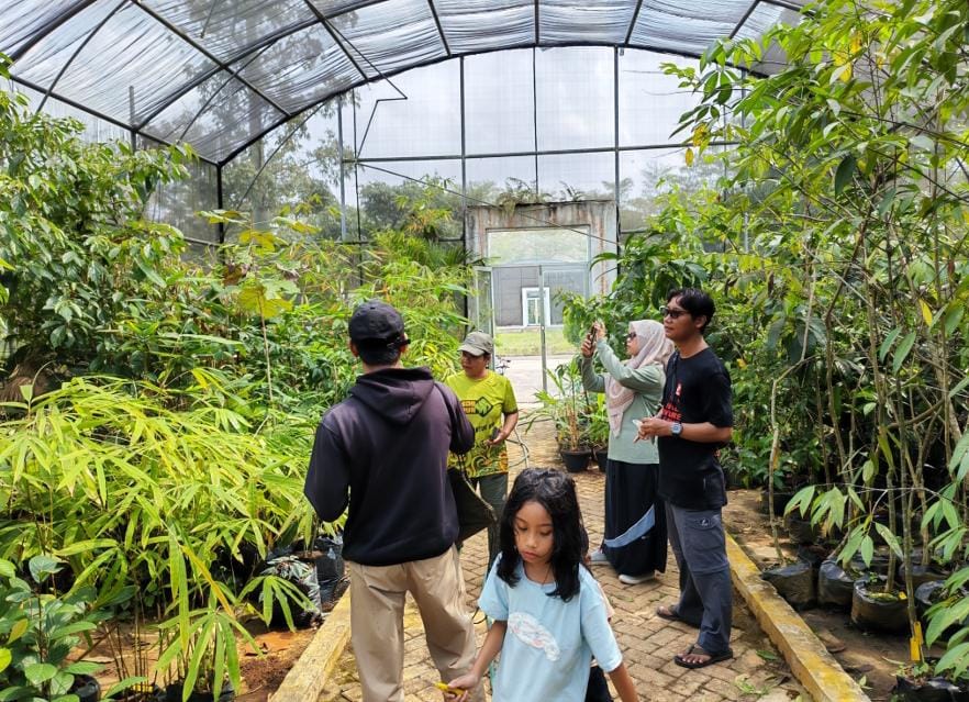 Rekayasa Hutan di Lahan Terdegradasi: Menakar Presisi Silvikultur Ex-Situ Kebun Raya ITERA