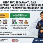 PPPK Paruh Waktu Lamsel Beda TMT, Beda Waktu Gaji PPPK Paruh Waktu Lampung Selatan